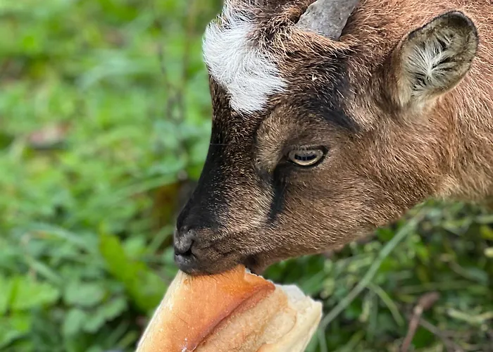 La Longere Reve Normand Honfleur - Parking Prive - Entierement Refait * 라리비에르생소뵈르