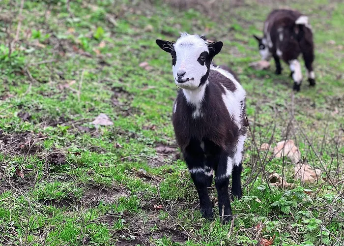 La Longere Reve Normand Honfleur - Parking Prive - Entierement Refait *