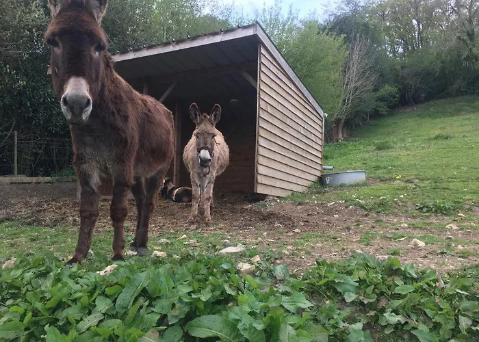 펜션 La Longere Reve Normand Honfleur - Parking Prive - Entierement Refait