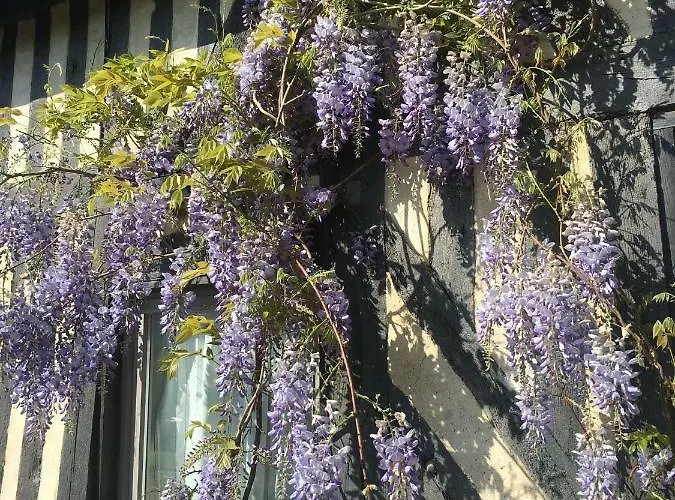 펜션 La Longere Reve Normand Honfleur - Parking Prive - Entierement Refait *