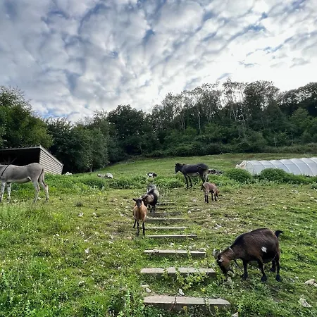 La Longere Reve Normand Honfleur - Parking Prive - Entierement Refait La Rivière-Saint-Sauveur