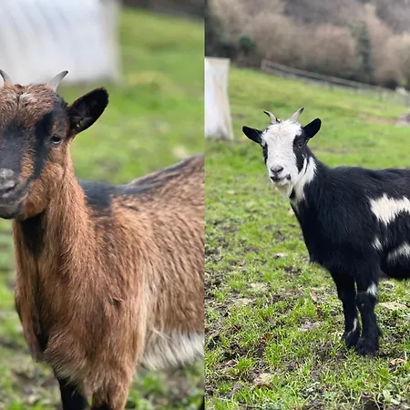 La Longere Reve Normand Honfleur - Parking Prive - Entierement Refait * La Rivière-Saint-Sauveur