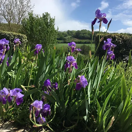 La Longere Reve Normand Honfleur - Parking Prive - Entierement Refait Σπίτι διακοπών La Rivière-Saint-Sauveur