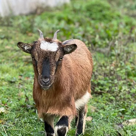 La Longere Reve Normand Honfleur - Parking Prive - Entierement Refait La Rivière-Saint-Sauveur