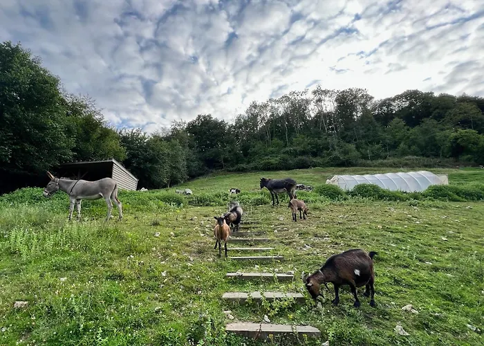 La Longere Reve Normand Honfleur - Parking Prive - Entierement Refait La Rivière-Saint-Sauveur